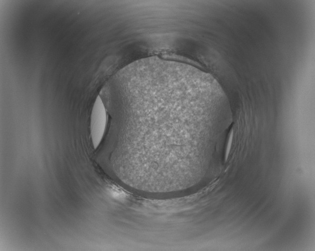 X0000056000041200509092057