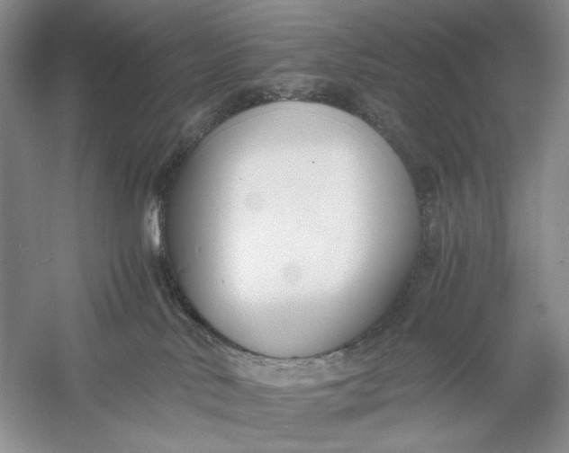 X0000056000042200509092057