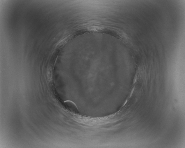 X0000056000043200509092057