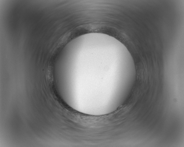 X0000056000044200509092057