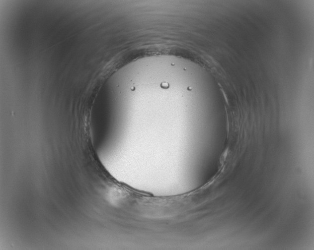 X0000056000045200509092057