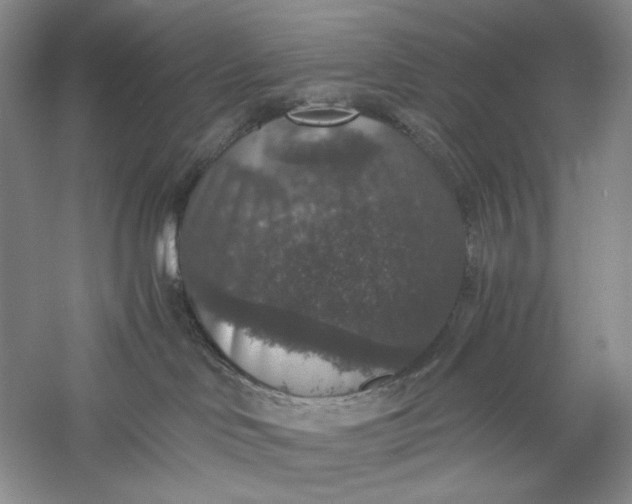 X0000056000046200509092057