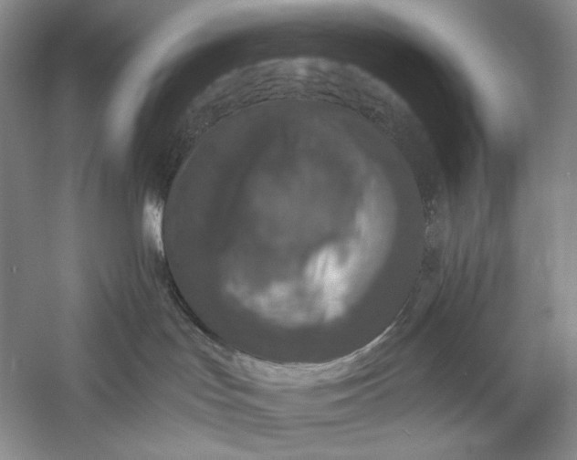 X0000056000047200509092057