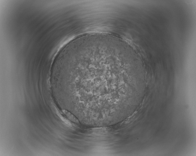 X0000056000050200509092056