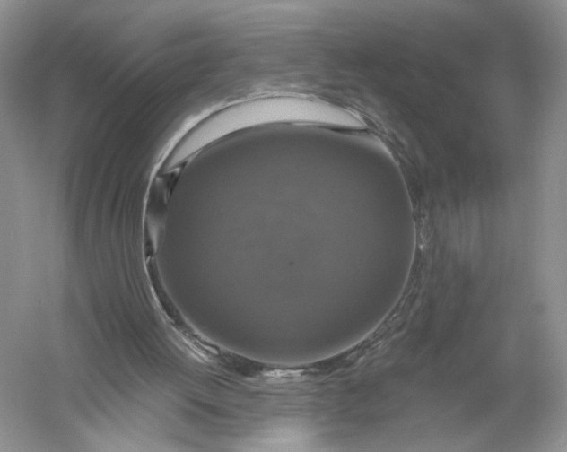 X0000056000052200509092056