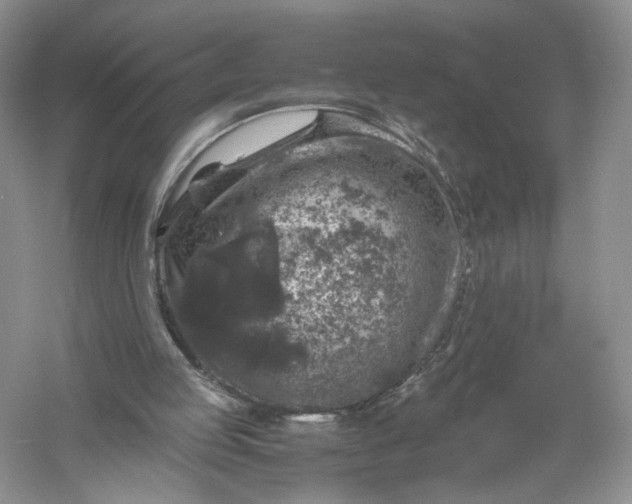 X0000056000053200509092056