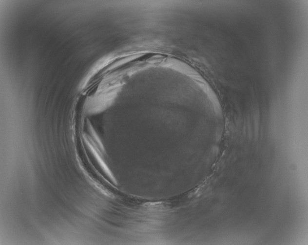 X0000056000054200509092056