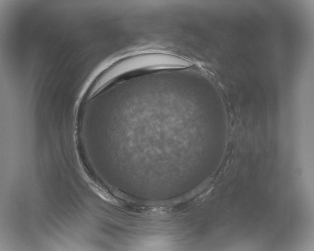 X0000056000056200509092056