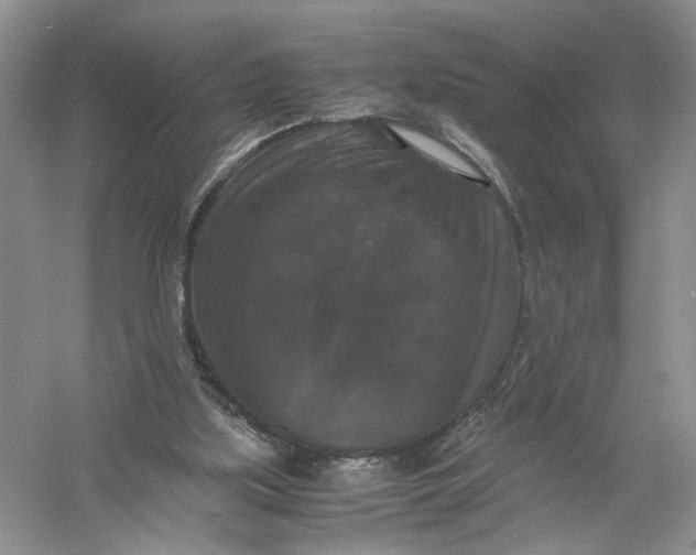 X0000056000059200509092056