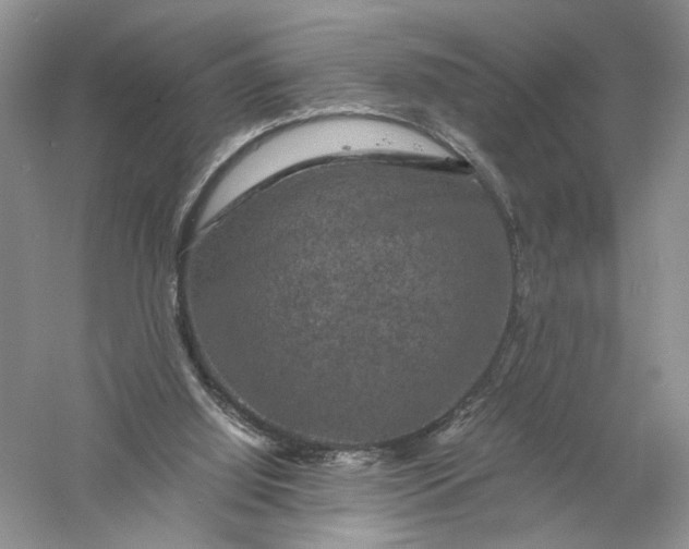 X0000056000060200509092056