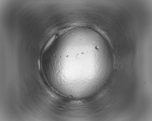 X0000056000061200509092056