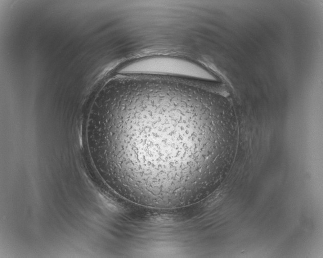 X0000056000062200509092056