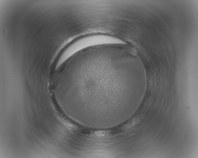 X0000056000064200509092056