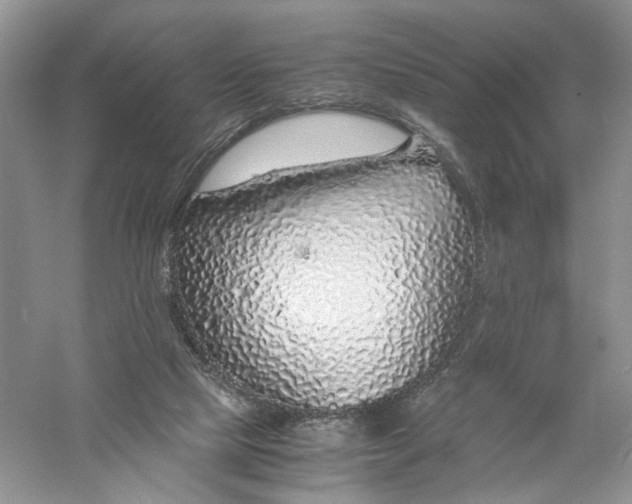 X0000056000065200509092056