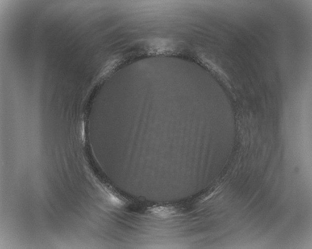 X0000056000067200509092056