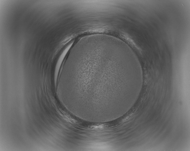 X0000056000068200509092057