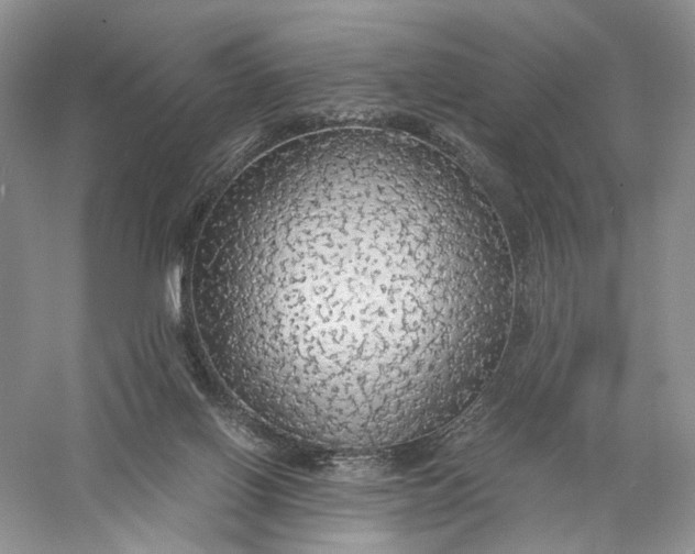 X0000056000070200509092057