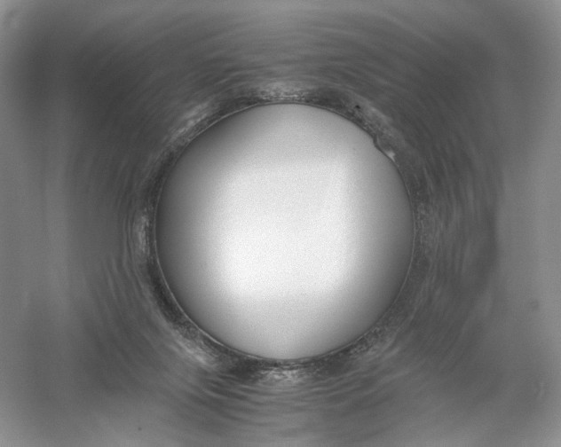 X0000056000071200509092057