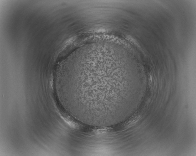 X0000056000072200509092057