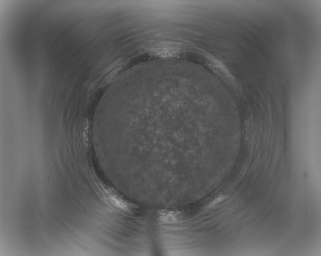 X0000056000073200509092057