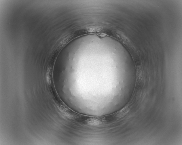 X0000056000074200509092057