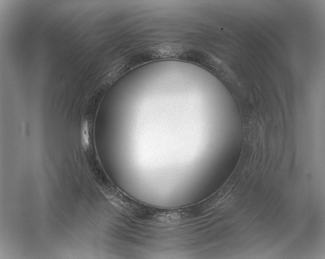 X0000056000075200509092057