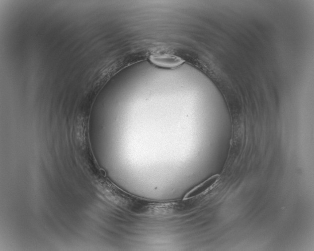 X0000056000078200509092057