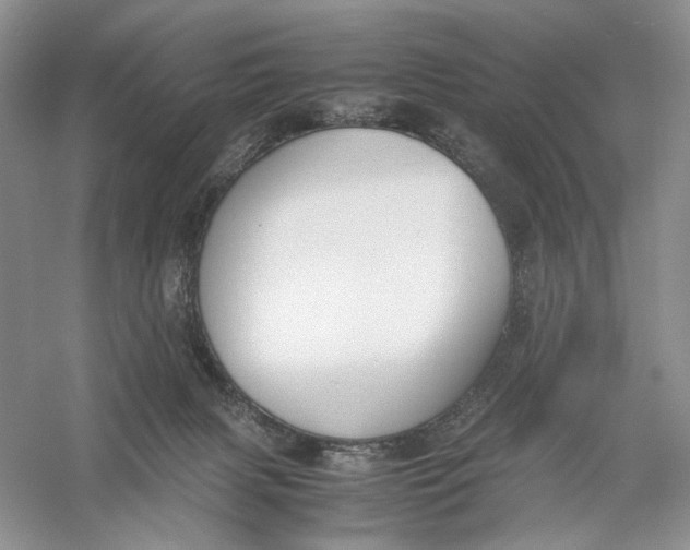 X0000056000079200509092057