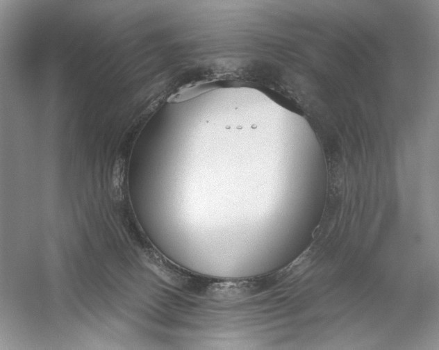 X0000056000082200509092057