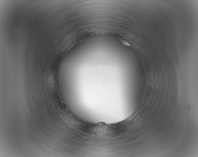 X0000056000086200509092057