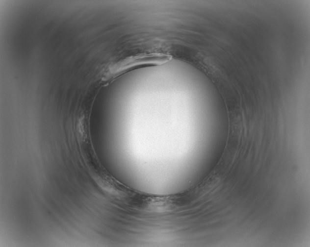 X0000056000088200509092057