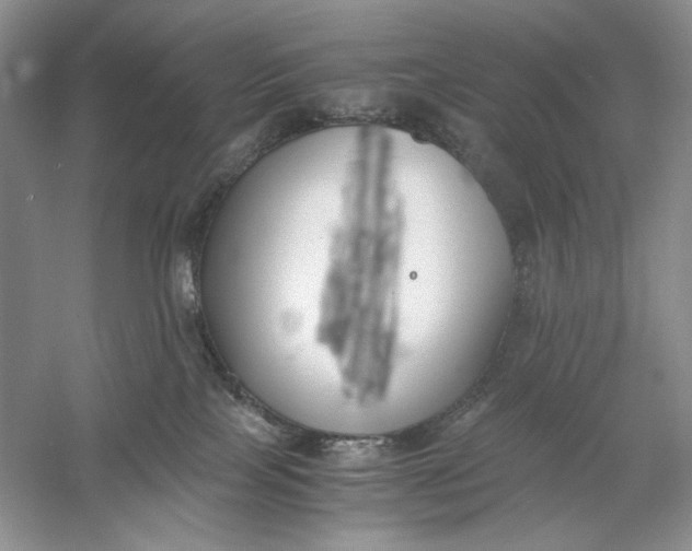 X0000056000089200509092057