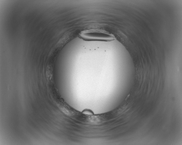 X0000056000091200509092057