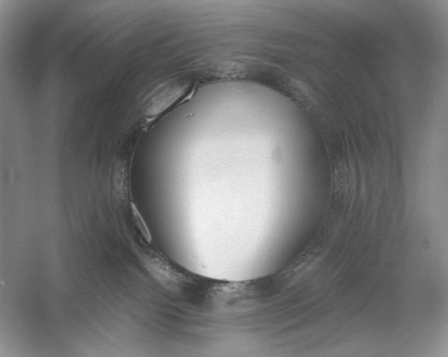 X0000056000092200509092057