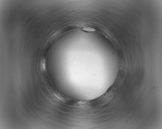 X0000056000095200509092057