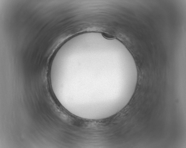 X0000056000098200509092056