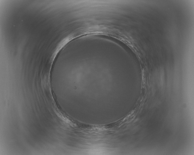 X0000056000099200509092056