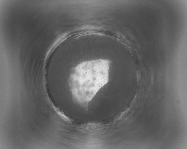 X0000056000101200509092056