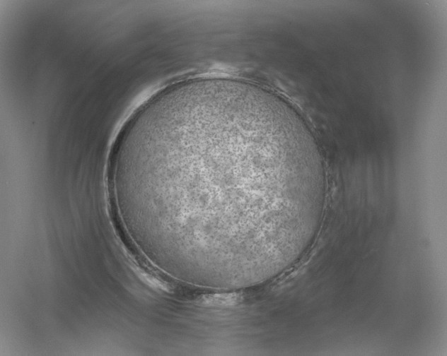 X0000056000102200509092056