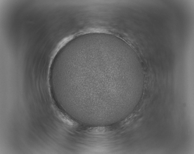 X0000056000104200509092056