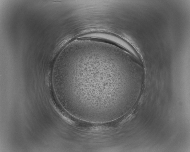 X0000056000105200509092056