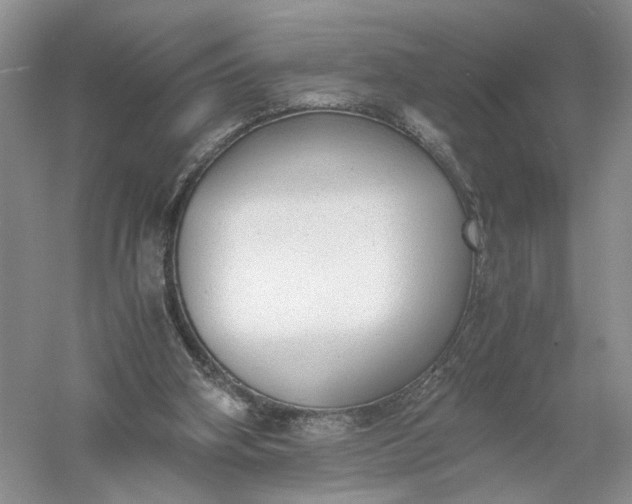 X0000056000106200509092056