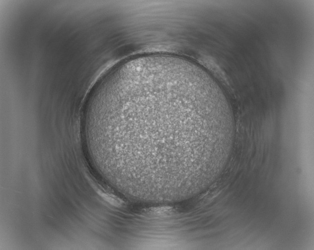 X0000056000108200509092056