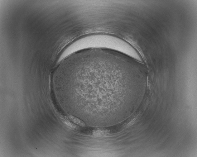 X0000056000109200509092056