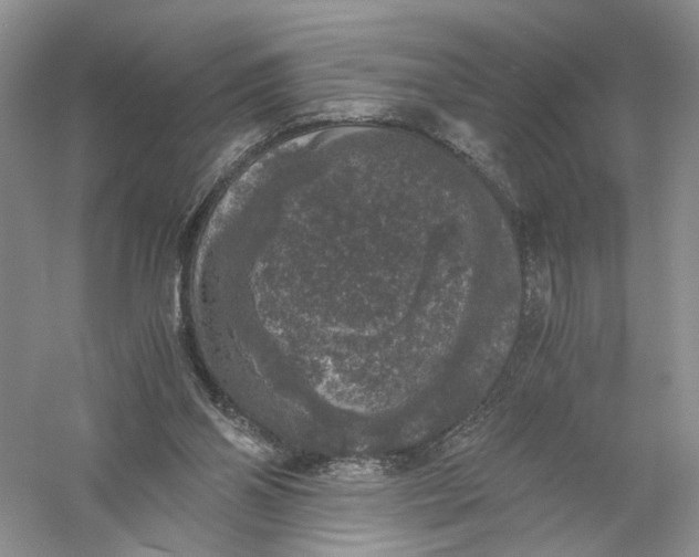 X0000056000110200509092056