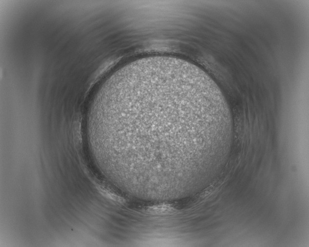 X0000056000112200509092056