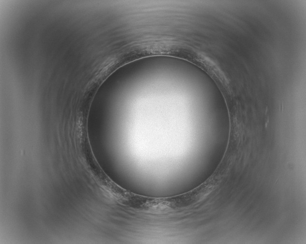 X0000056000113200509092056