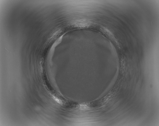 X0000056000114200509092056