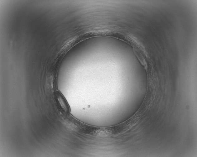 X0000056000115200509092056