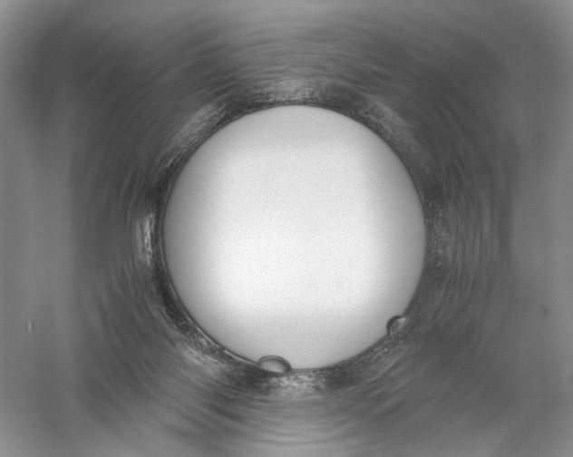 X0000056000118200509092056